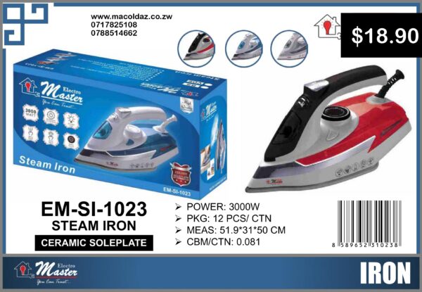 Steam Iron